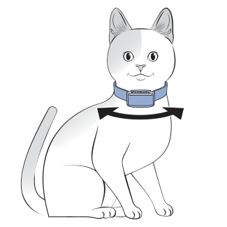 Move Collar Side To SIde On Cat