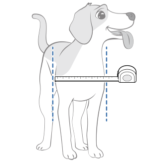 Measure The Width Of Your Dog