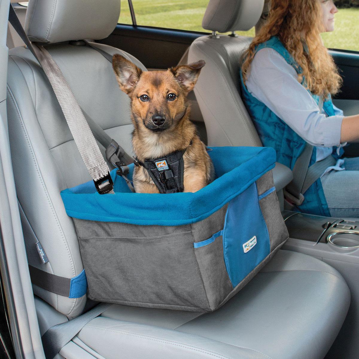 5 Tips for Safe Travel with your Pets - Kurgo Dog Products