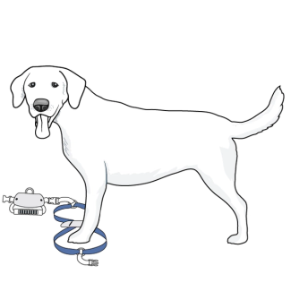 setup-front-harness-care-lift-support-harness-illustration1
