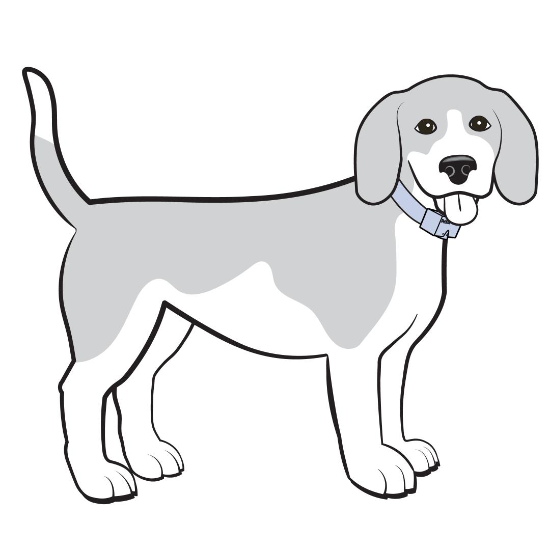dog standing up