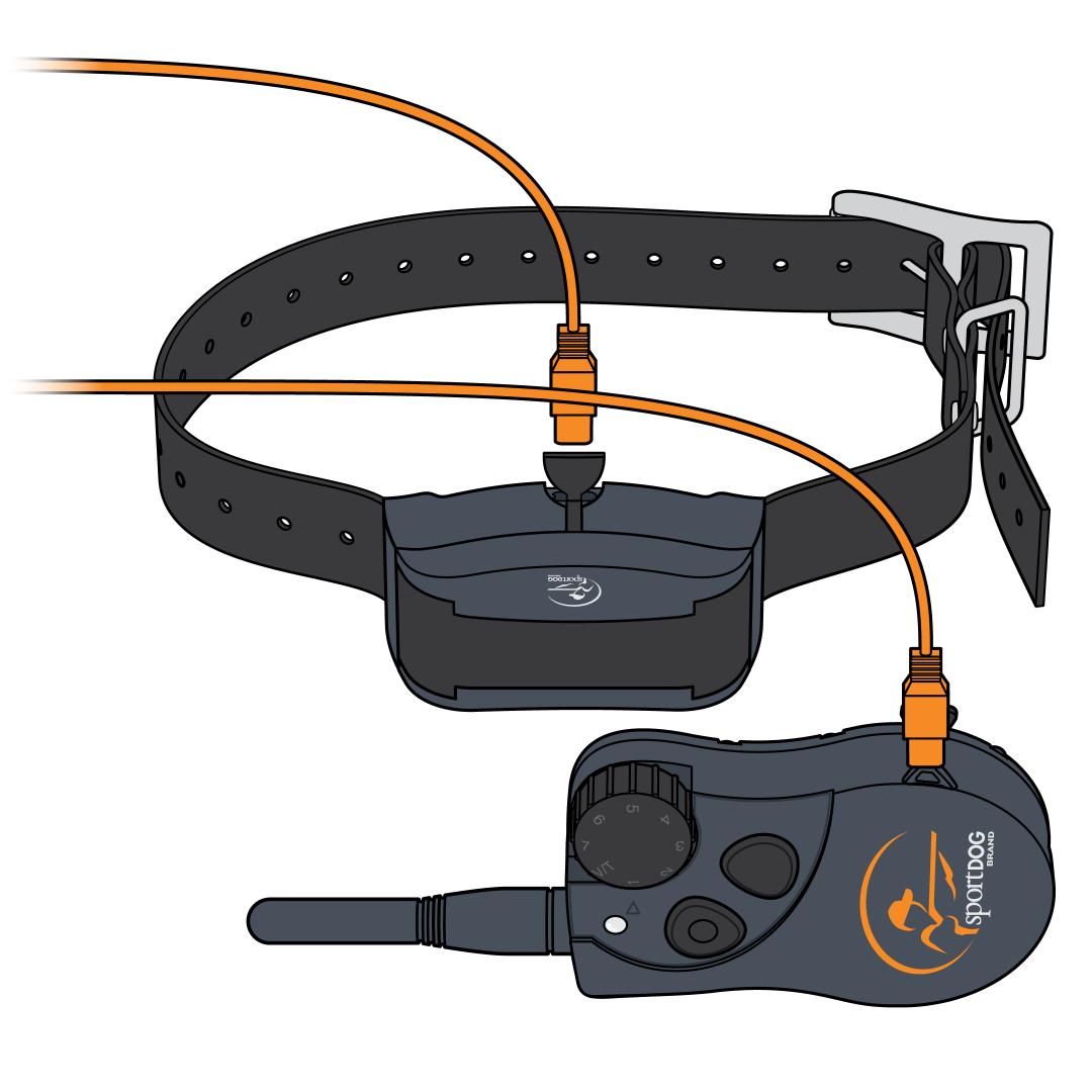 Plug Charger Into Remote And Collar