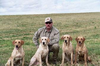 Dave has been training dogs with SportDOG Brand® remote trainers for over 6 years. He has trained numerous labs for upland and waterfowl hunting.