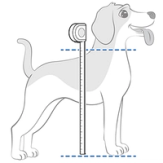 Measure The Height Of Your Pet