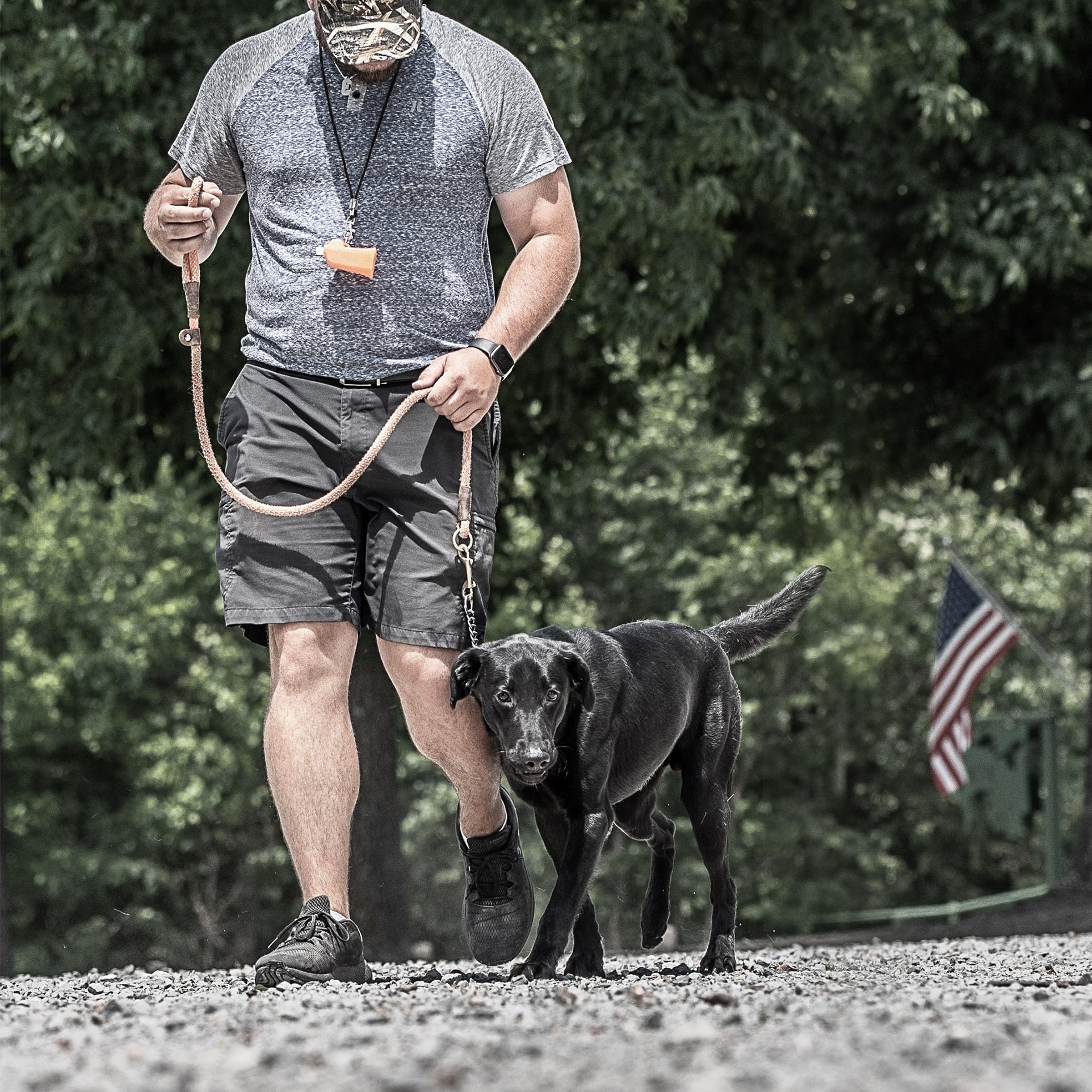 man walking with black lab on loose leash at heel