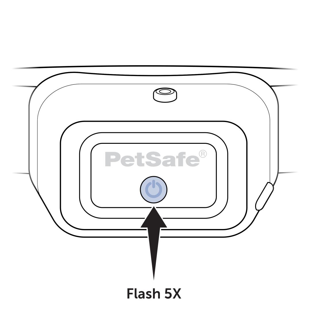 Collar Will Flash Five Time
