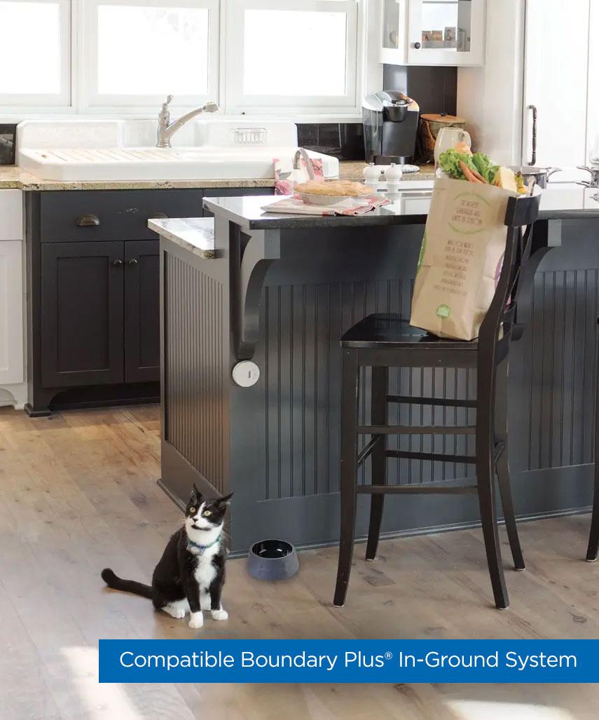 Cat sitting on floor being kept off of kitchen counter by Shield product.