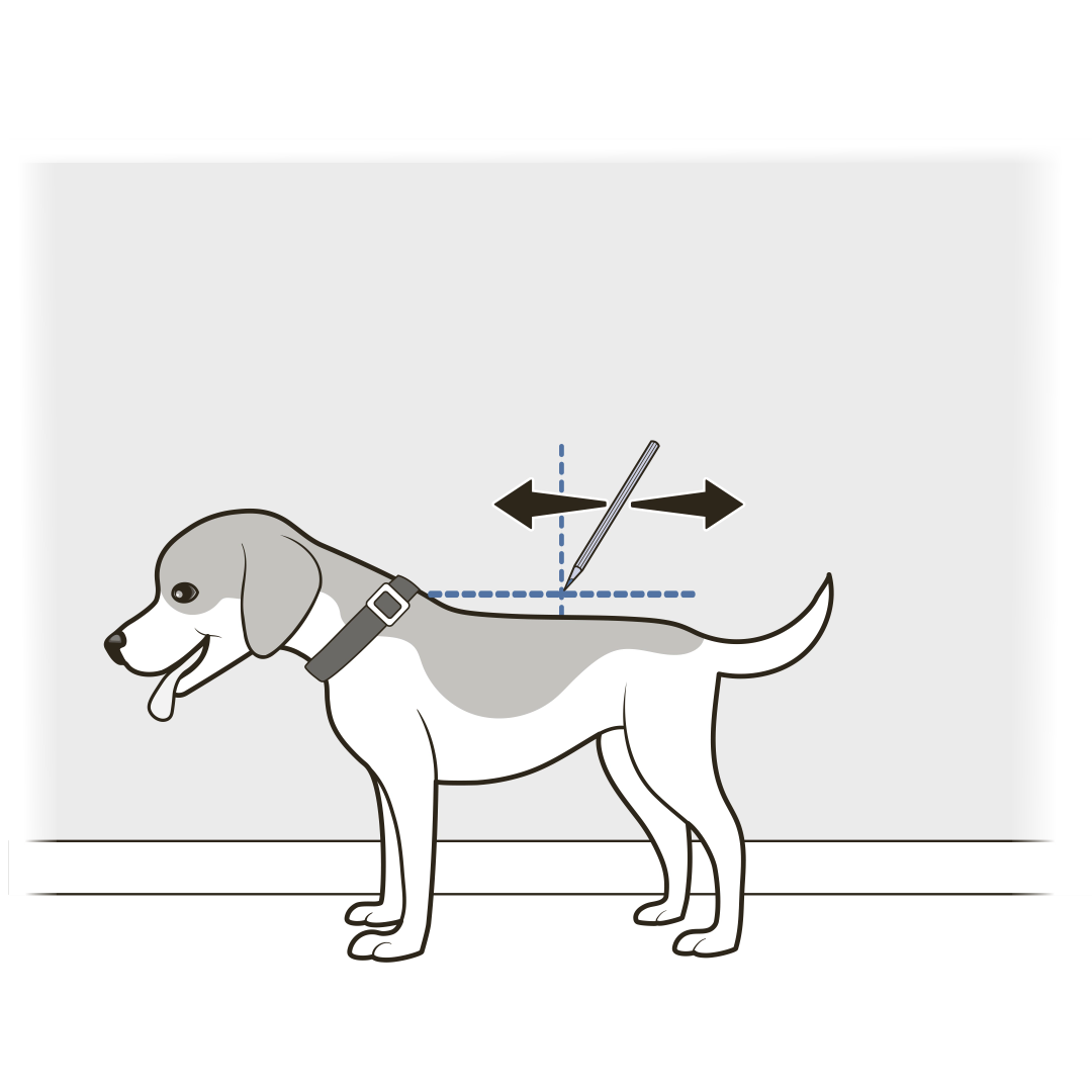 Mark shoulder height on vertical line
