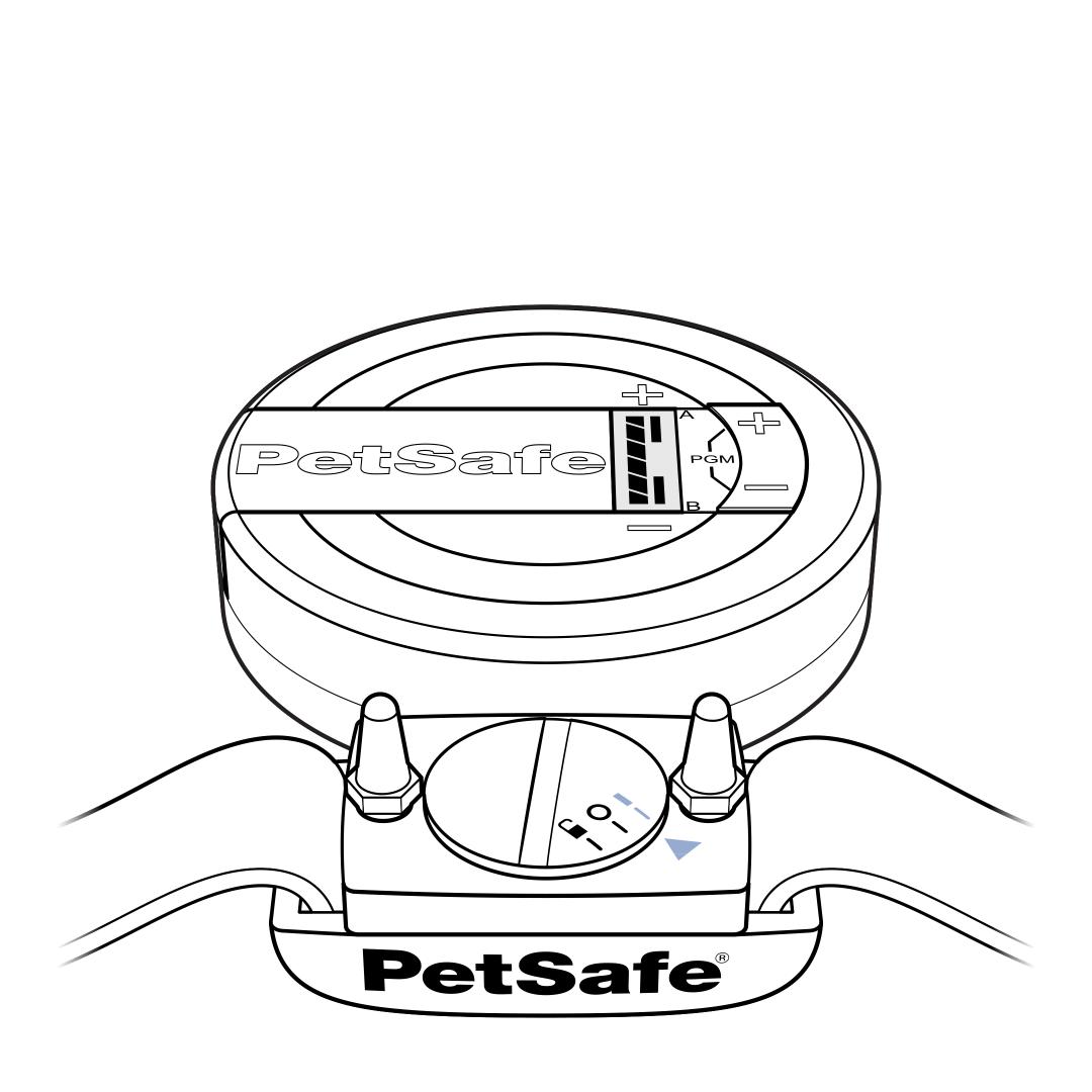 Power Collar On And Place Near Mini Transmitter