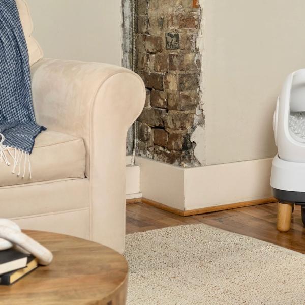 Cat sitting in an OpenSky automatic litter box looking down at another cat sitting on hardwood flooring