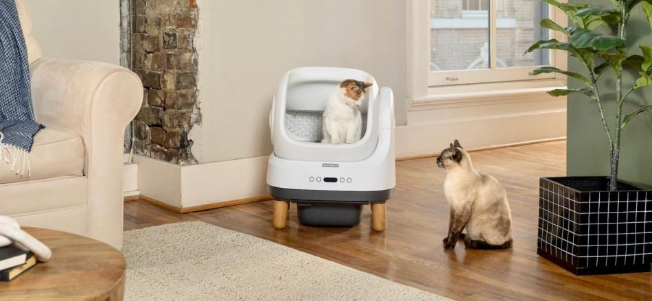 Cat sitting in an OpenSky automatic litter box looking down at another cat sitting on hardwood flooring