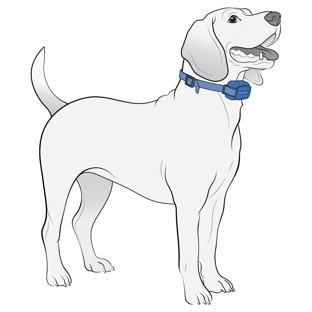 Center Collar