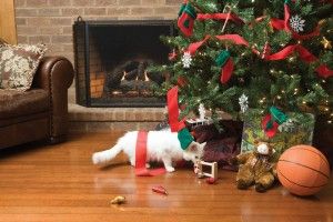 Christmas Tree Bad Cat 5