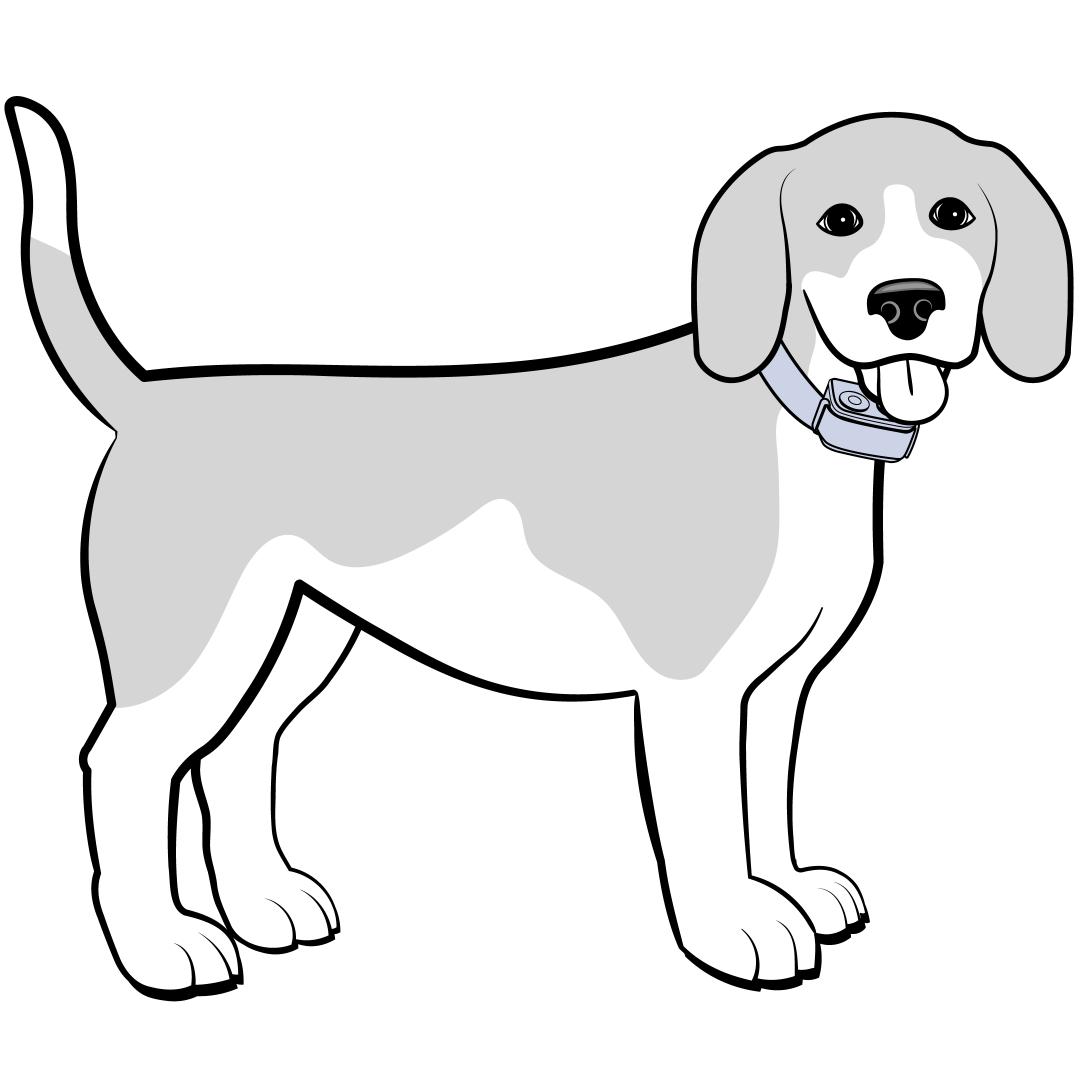Begin with pet standing