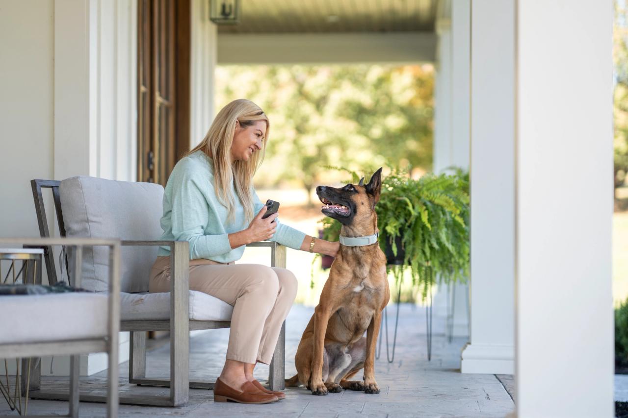 Woman holds cell phone while sitting with Malinois wearing Invisible Fence GPS Wireless Dog Collar 