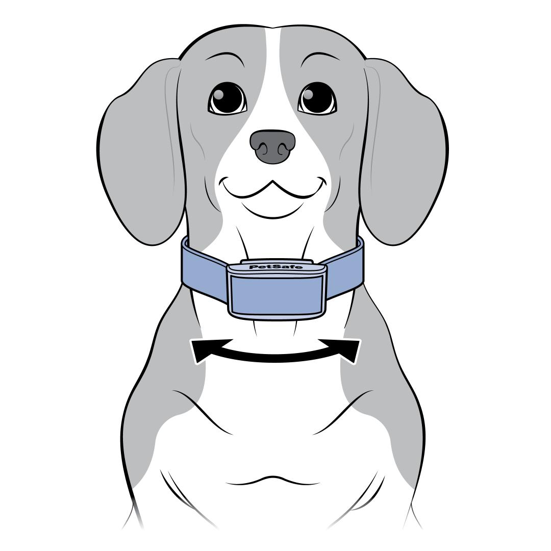 Move Collar Side To SIde On Dog