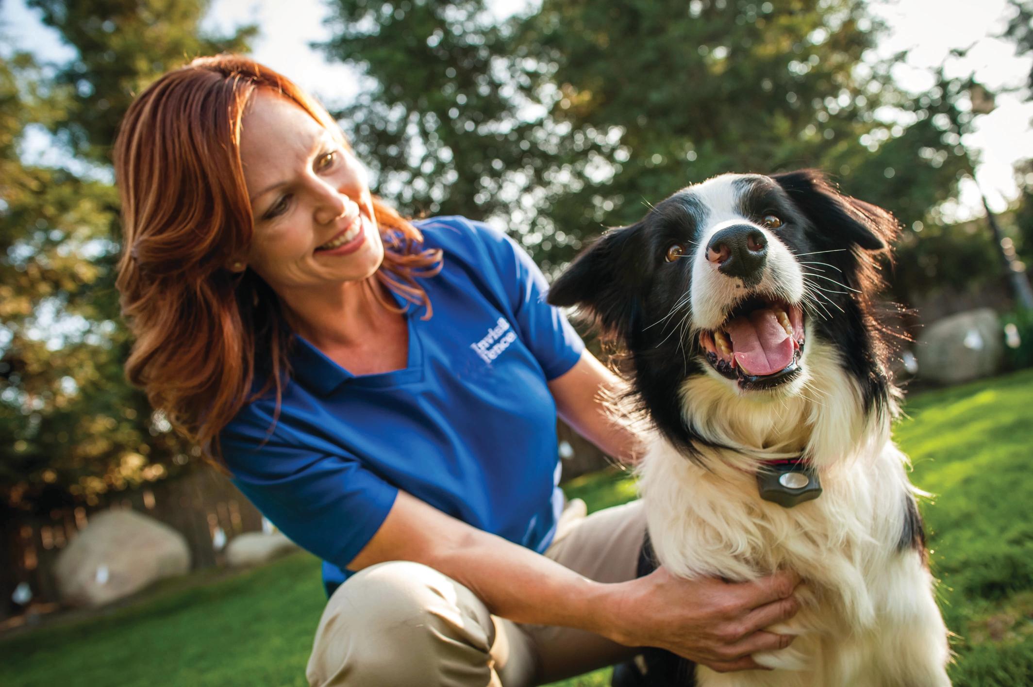 invisible fence trainer with collie