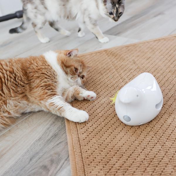 One orange and one white and gray cat playing with the PetSafe Peek-a-Bird Electronic Cat Toy.