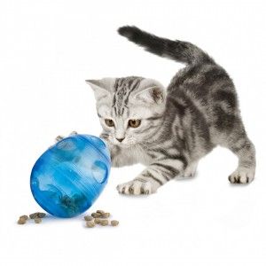 Our Egg-Cersizer™ Cat Toy rewards your cat for exercising!