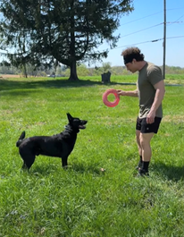 Frisbee Without Fear