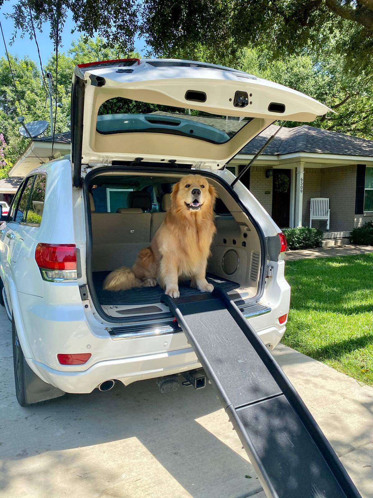 Dog Steps & Ramps for Indoor & Outdoor Use | PetSafe®