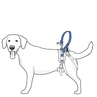 medium-large-care-lift-rear-support-harness-illustration
