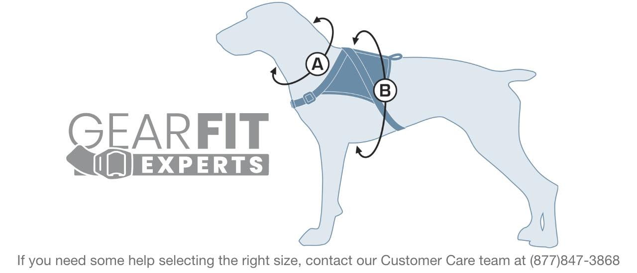 how to measure dog vest