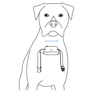 With your pet standing, center the probes on the neck