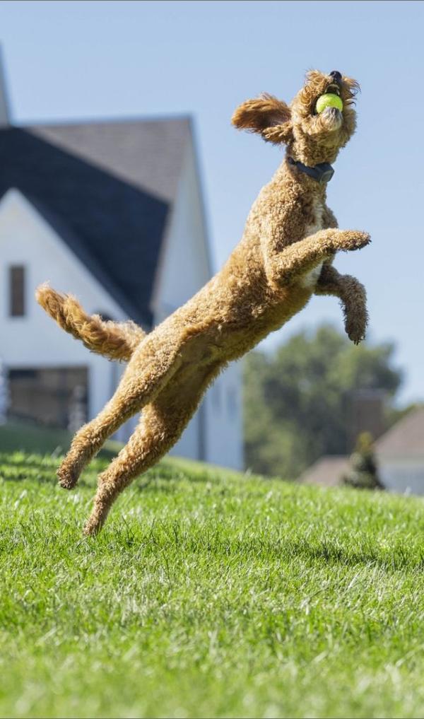 argumentaire marketing