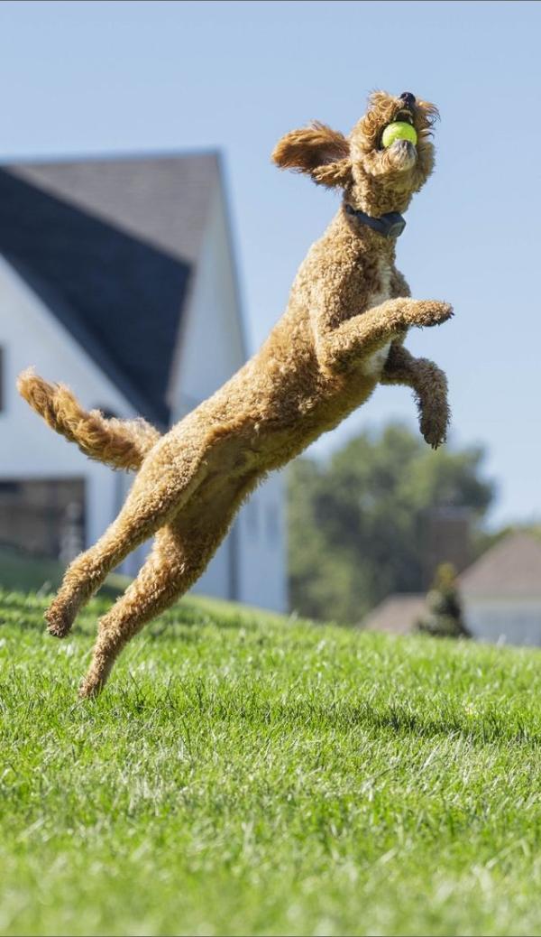 argumentaire marketing