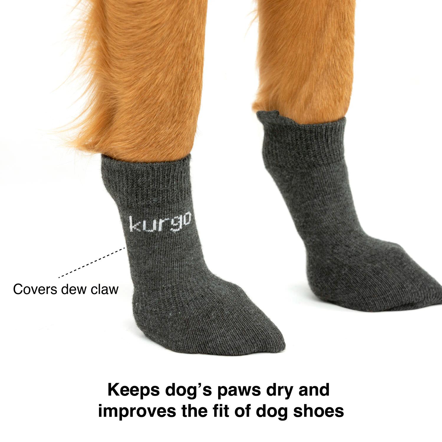 Blaze Dog Socks