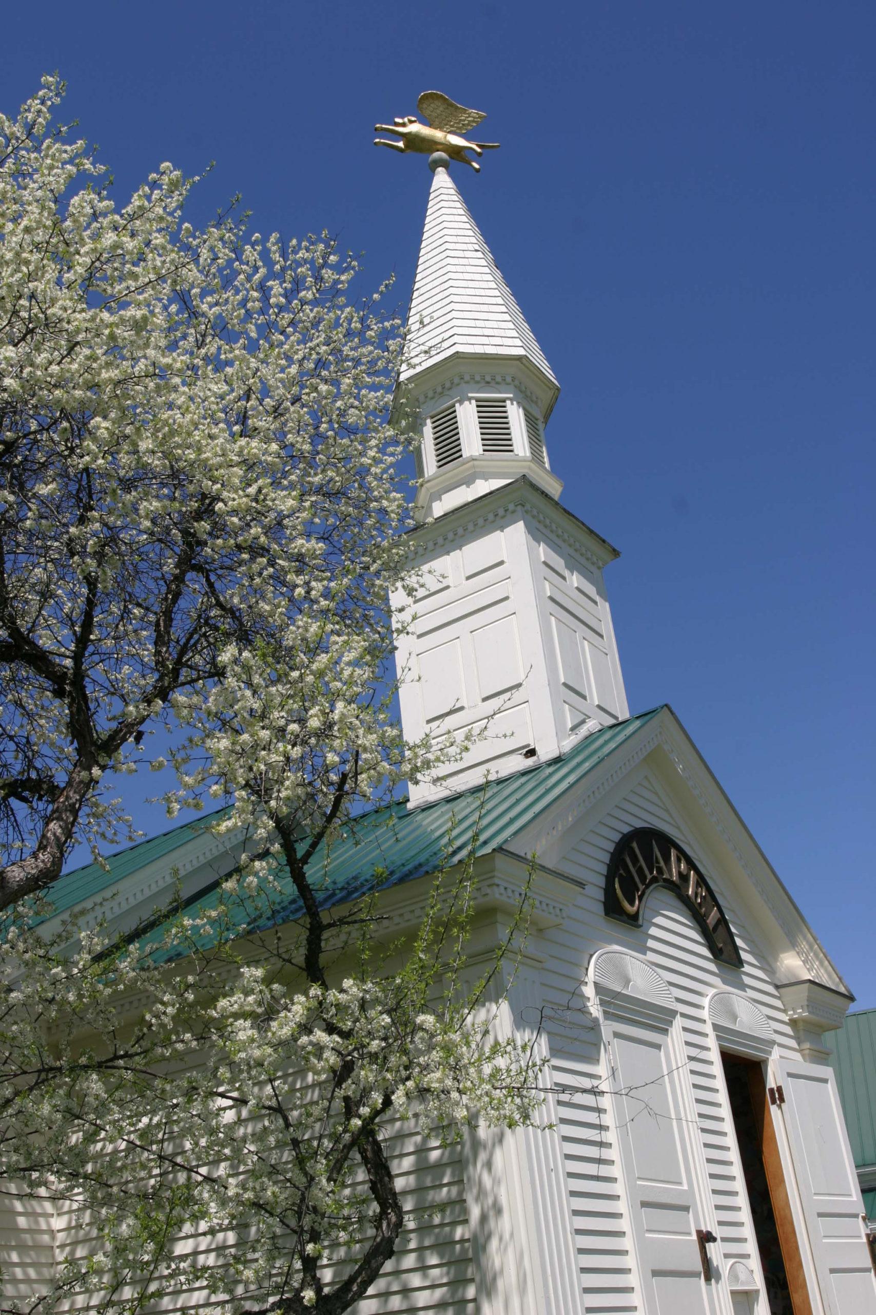 Dog_Chapel_1