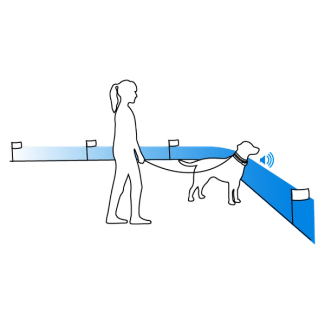 Walk your pet toward the boundary flags until collar beeps