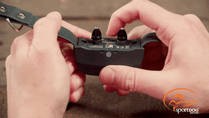 Wait 5 seconds after you see green flashes to save your mode selection