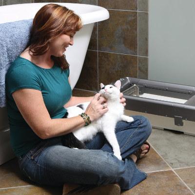 cat massage