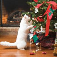 cat playing with christmas tree