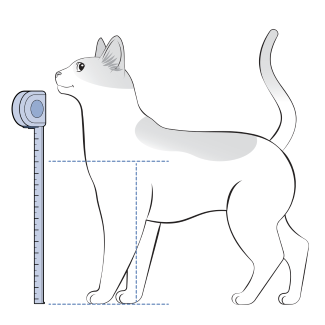 Measure Cats Height From Ground To Shoulder