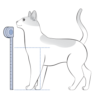 How to Install the PetSafe® 4-Way Locking Big Cat Door