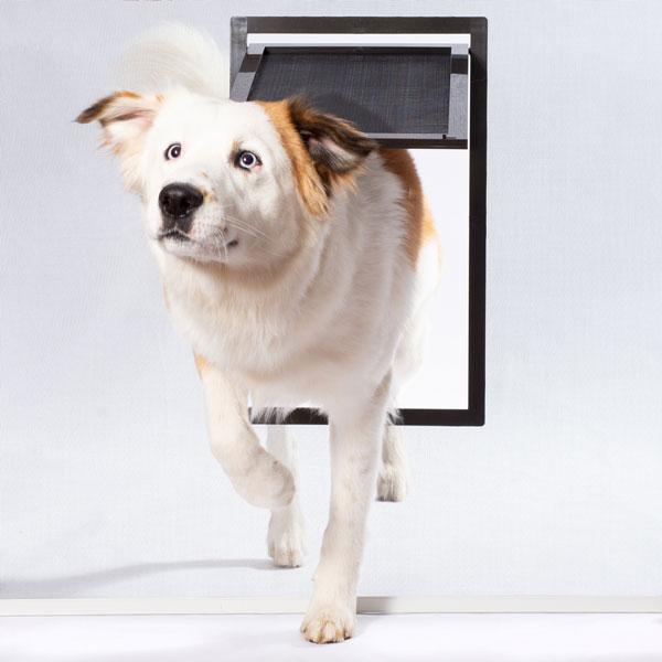 PetSafe® Pet Doors Provide Paths to Freedom for Dogs, Cats and Owners