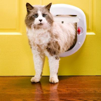 cat door