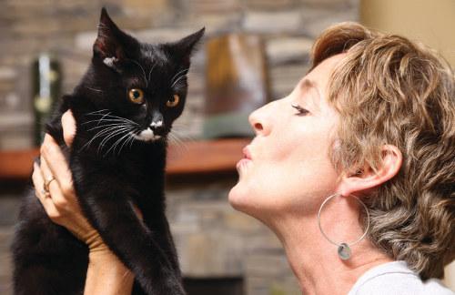 How to Hug Your Cat, Maybe?