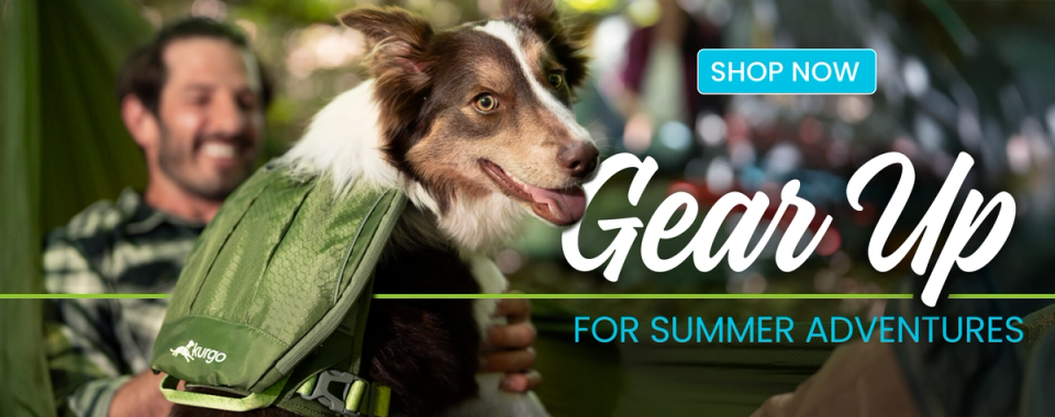 Gear Up for Summer Adventures - Shop Now