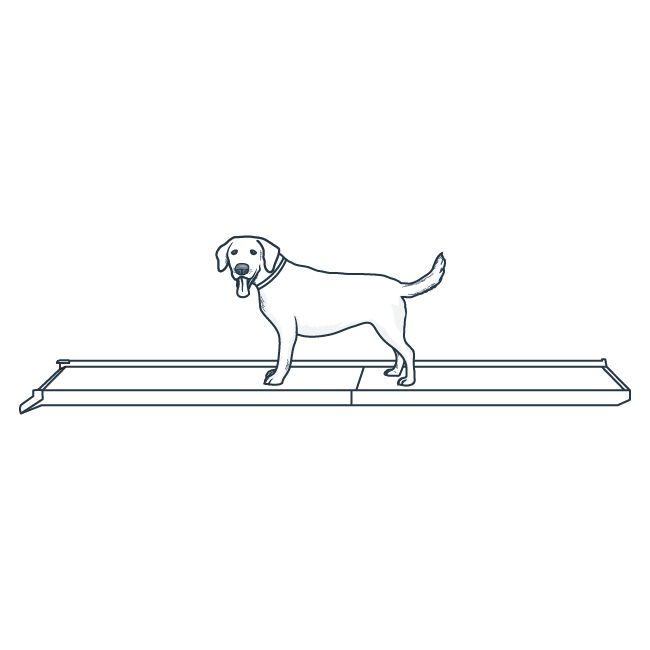 acclimate-pet-happy-ride-folding-dog-ramp-illustration3