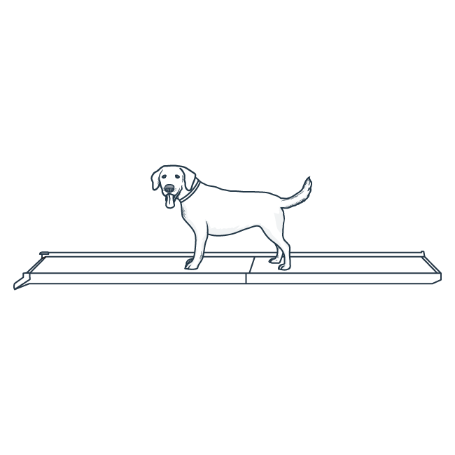 Dog Ramp Cartoon How to use your Happy Ride™ Folding Dog Ramp