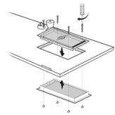 Place pet door with screws