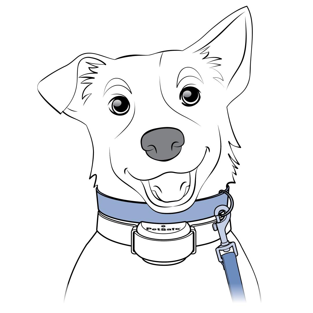 Attach Leash Non-Metal Collar Above Containment Collar