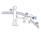 Pet on leash near boundary