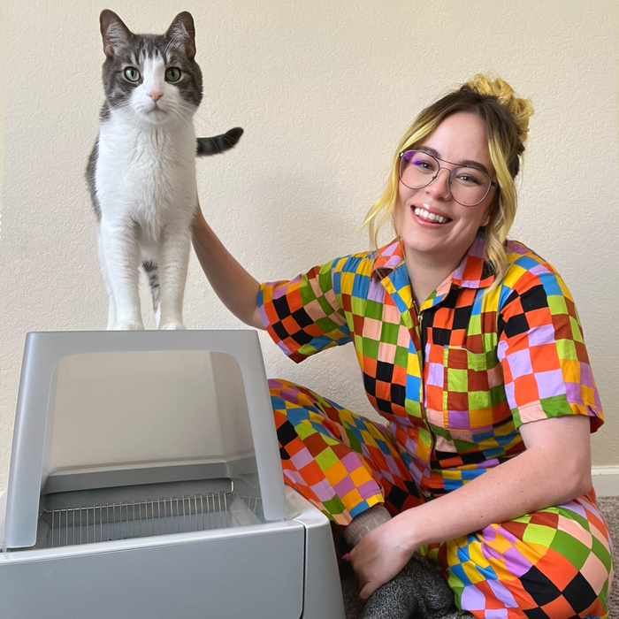 covered self cleaning litter box and cat and cat woman