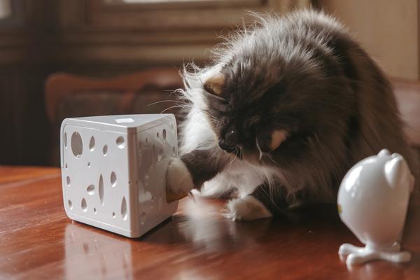 Automated Cat Toys | PetSafe®