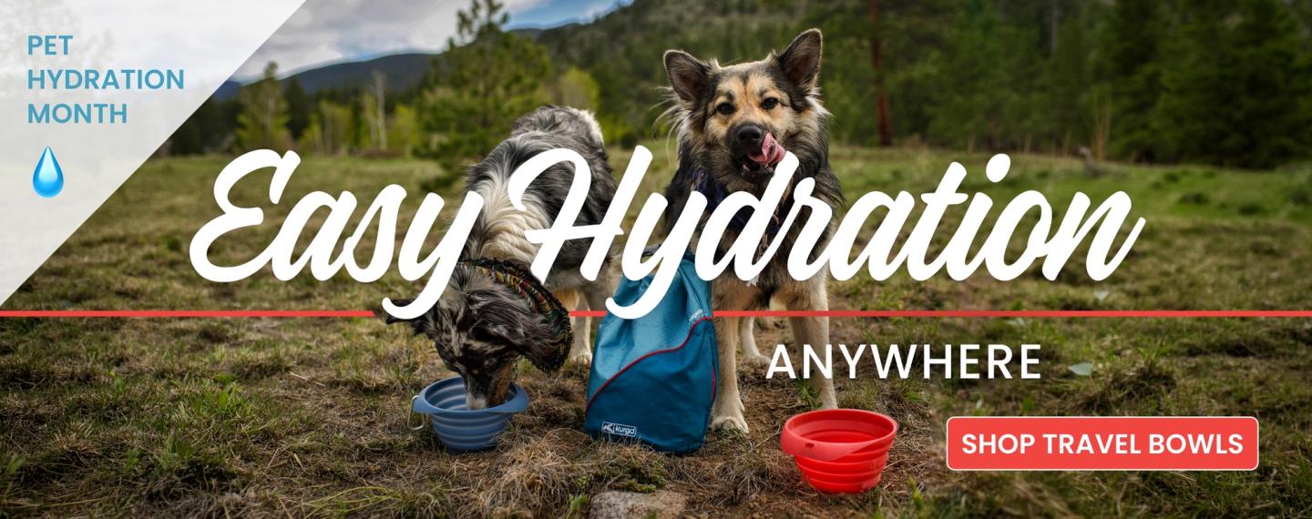 Pet Hydration Month: Shop Travel Bowls for Easy Hydration Anywhere